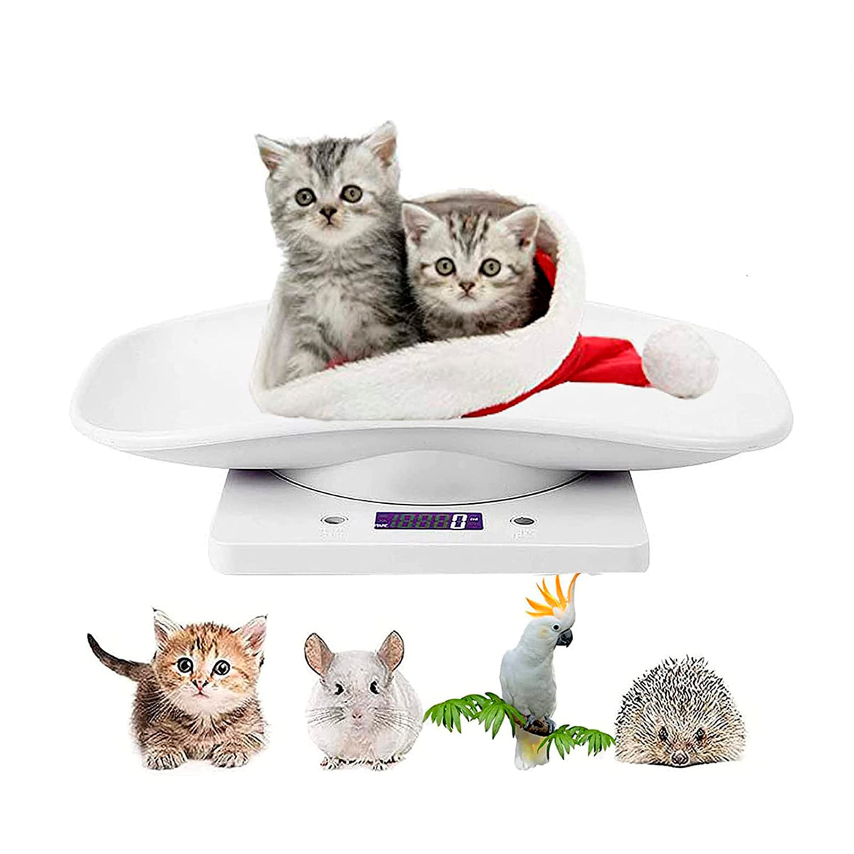 Newborn Kitten & Puppy Weight Scale White 12in x 8in O297