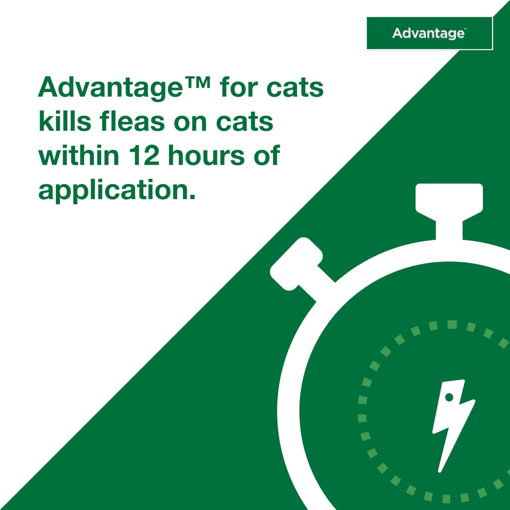 Topical Cat Flea Treatment and Prevention for Small Cats 2-9 lbs K1620