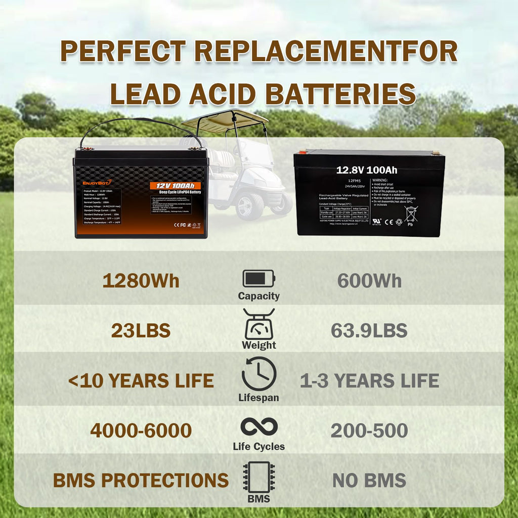 12V 100Ah LiFePO4 Lithium Battery, 100A BMS Deep Cycle Battery with Low Temp Cut Off, 2 Pack S711