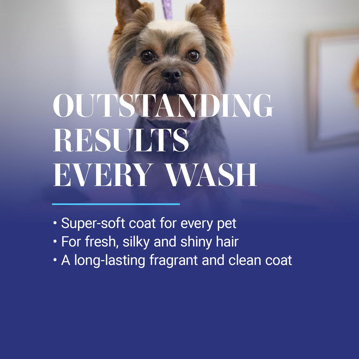 Hydrating Chamomile Ultra Concentrated Dog Shampoo 1 Gal D909232
