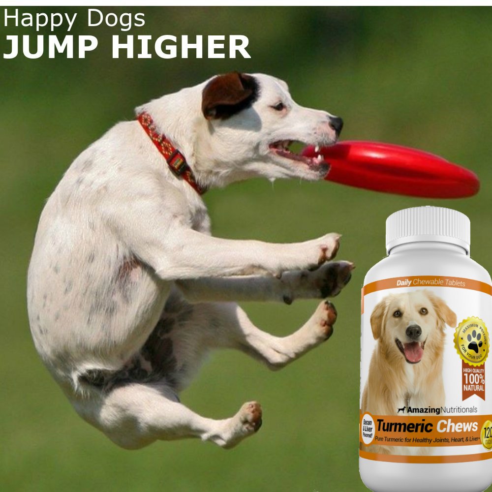 120 Chews Turmeric Curcumin Pet Antioxidant W134