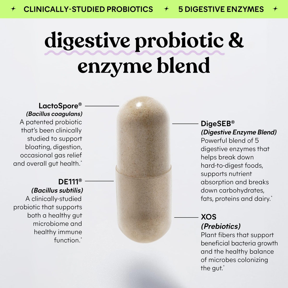 Probiotic Capsules L527