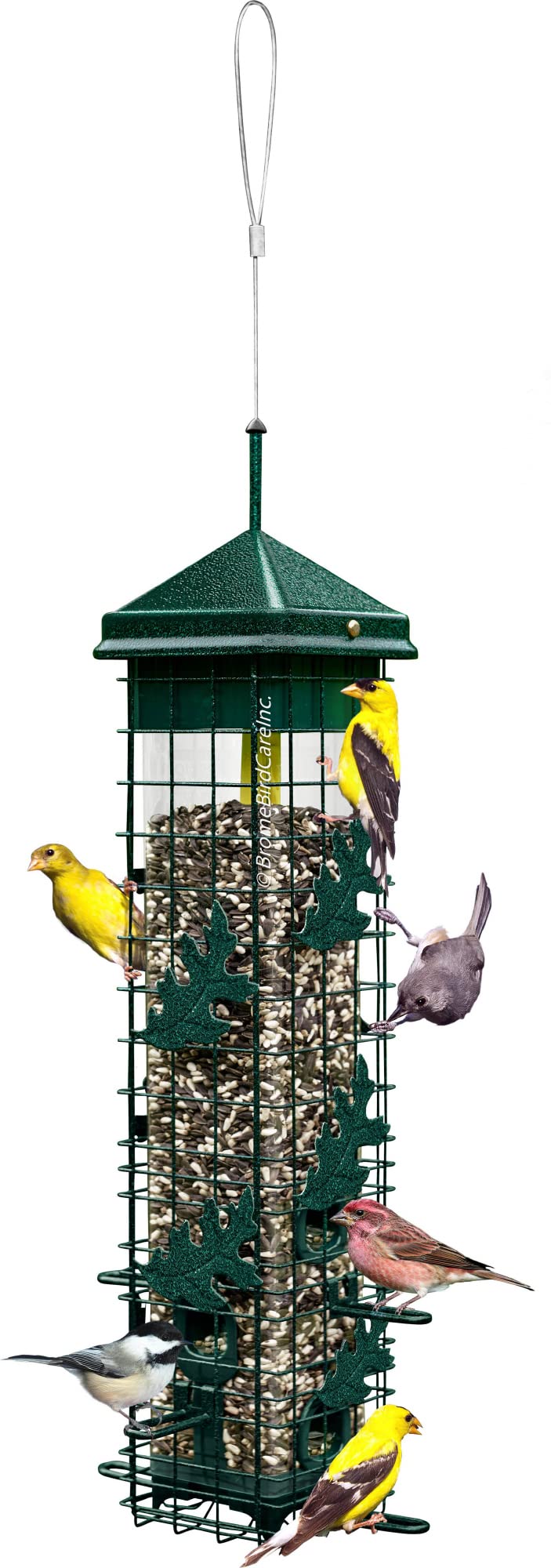 Squirrel-proof Bird Feeder with 6 Feeding Ports, 3.4-pound Seed Capacity M5771