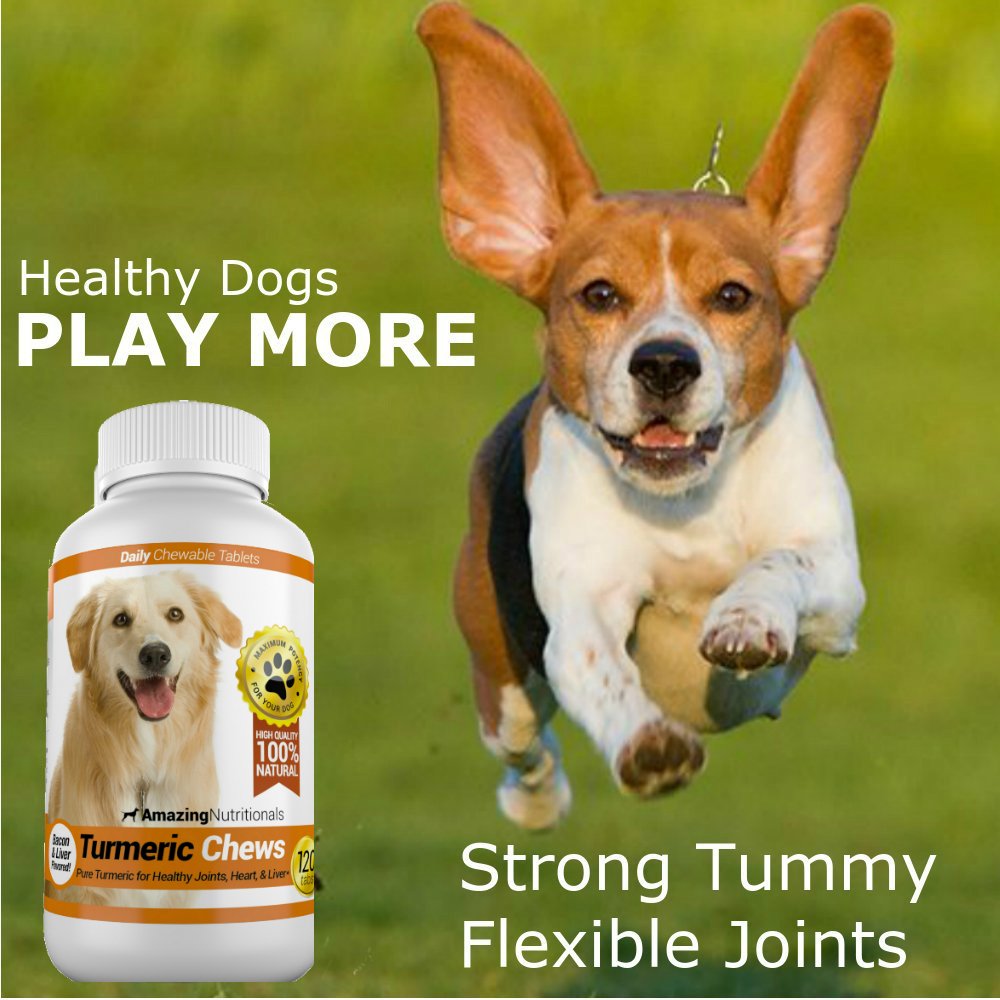 120 Chews Turmeric Curcumin Pet Antioxidant W134
