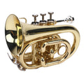 Bb Pocket Trumpet, Ni Plated Brass with 7C Mouthpiece U43846
