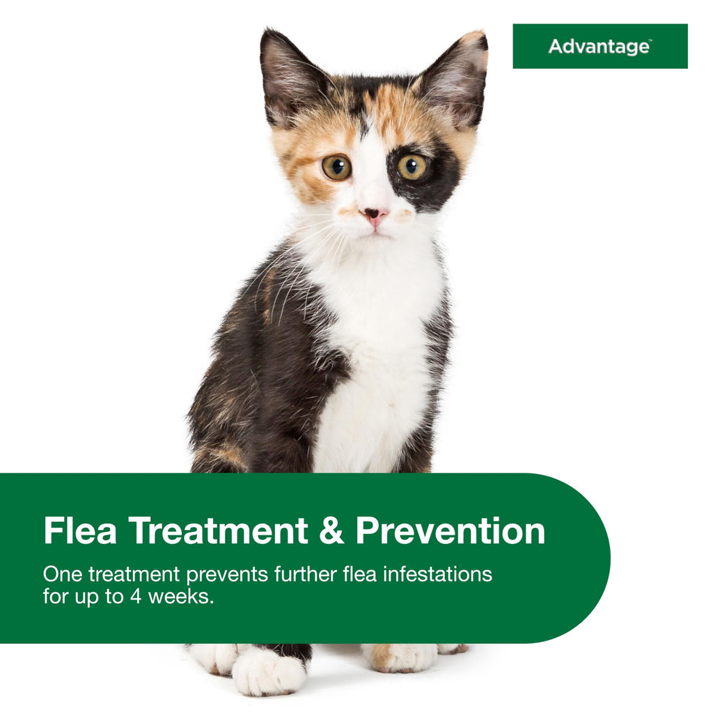 Topical Cat Flea Treatment and Prevention for Small Cats 2-9 lbs K1620