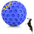 Squeaky Dog Ball Chew Toy C2633