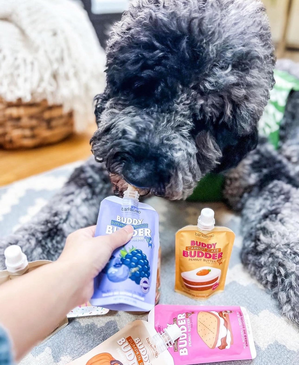 Dog Peanut Butter 9 Pack 4oz Pouches X44281
