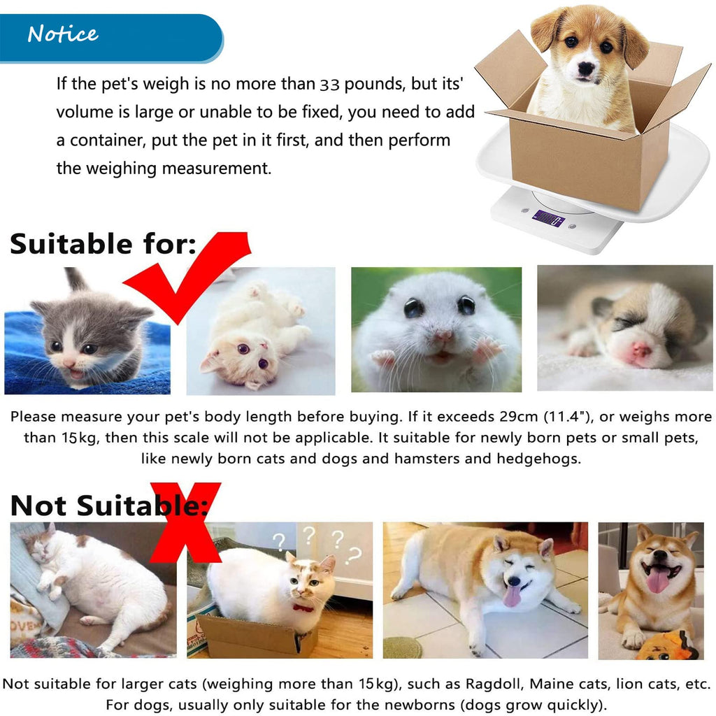 Newborn Kitten & Puppy Weight Scale White 12in x 8in O297