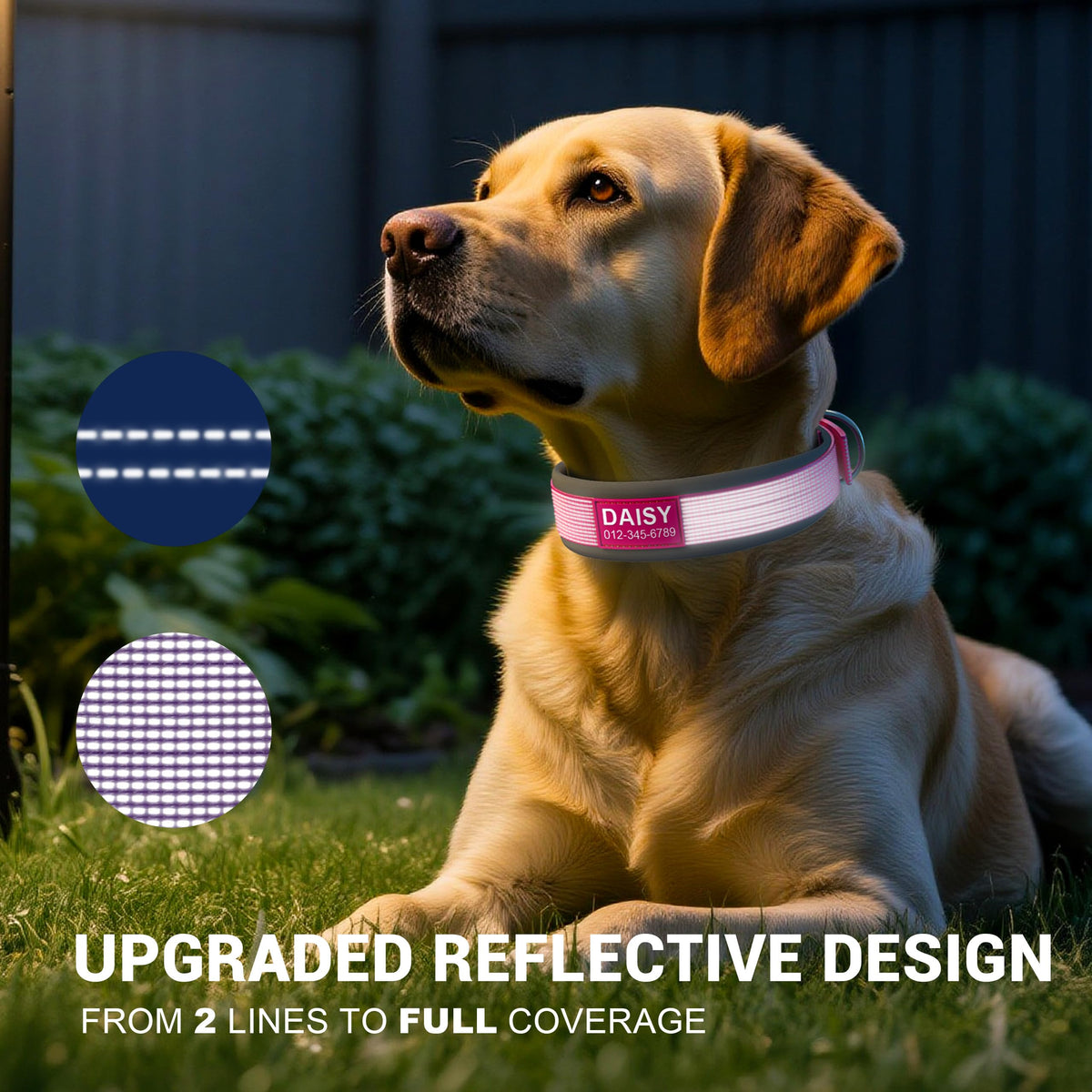 Personalized Reflective Dog Collar I3621