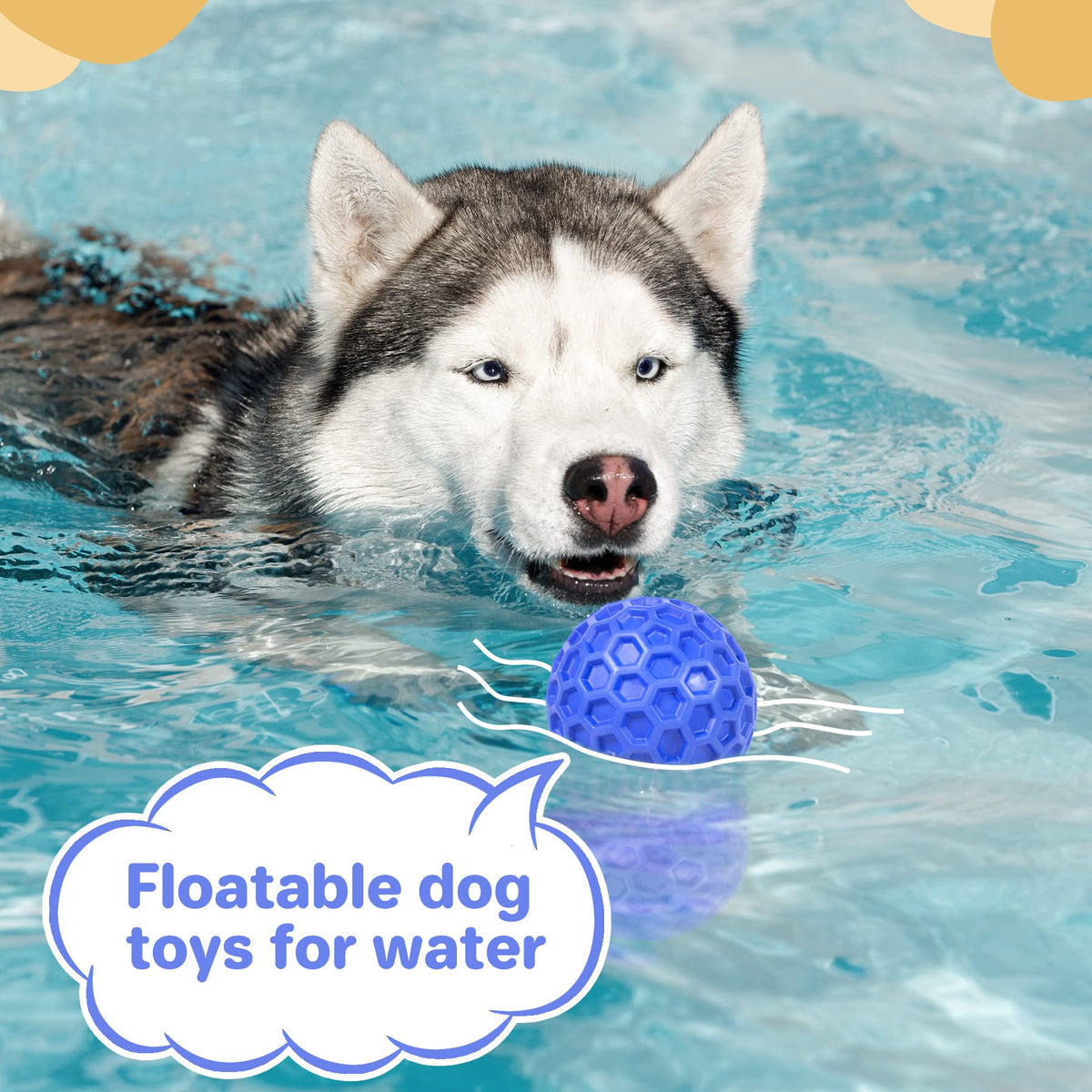 Squeaky Dog Ball Chew Toy C2633