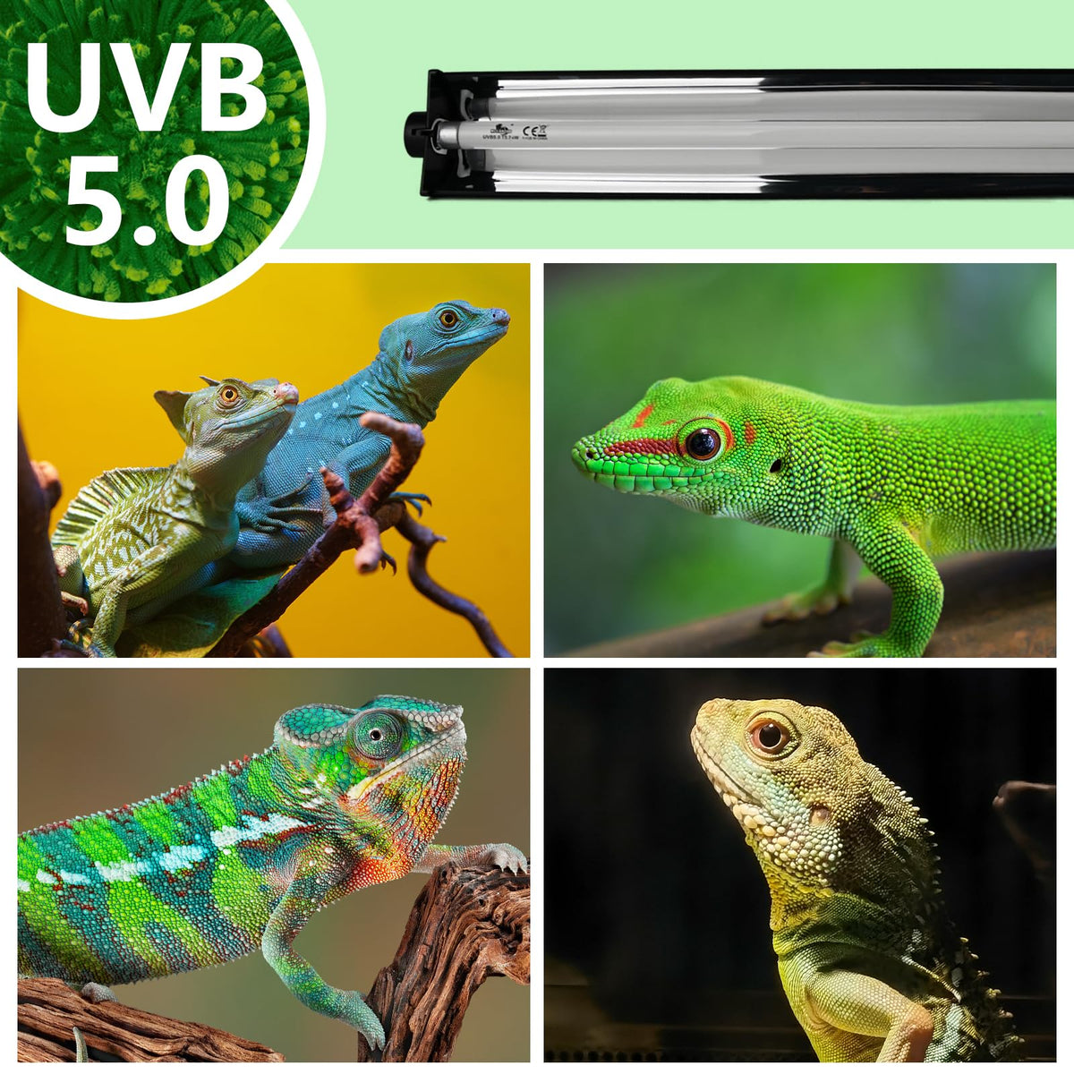8W T5 UVB Lighting Combo Kit with Desert 5.0 Bulbs D35167