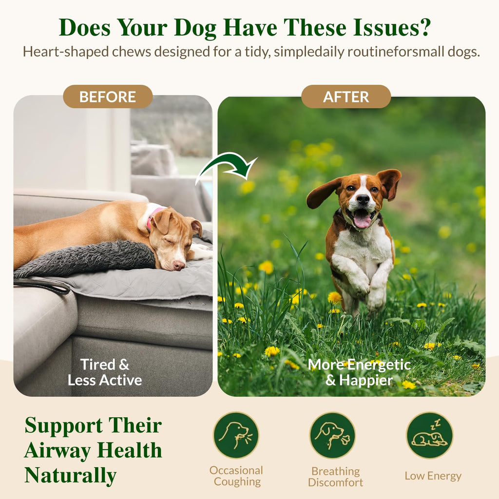 Soft Chews for Dogs F5123