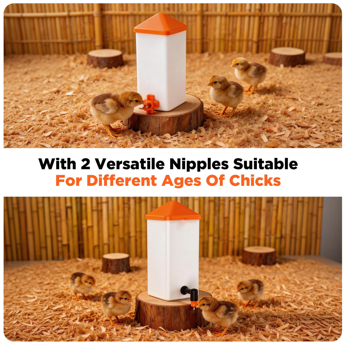 1L Baby Chick Waterer with Nipple Drinker and Anti-Roost Cone R9644