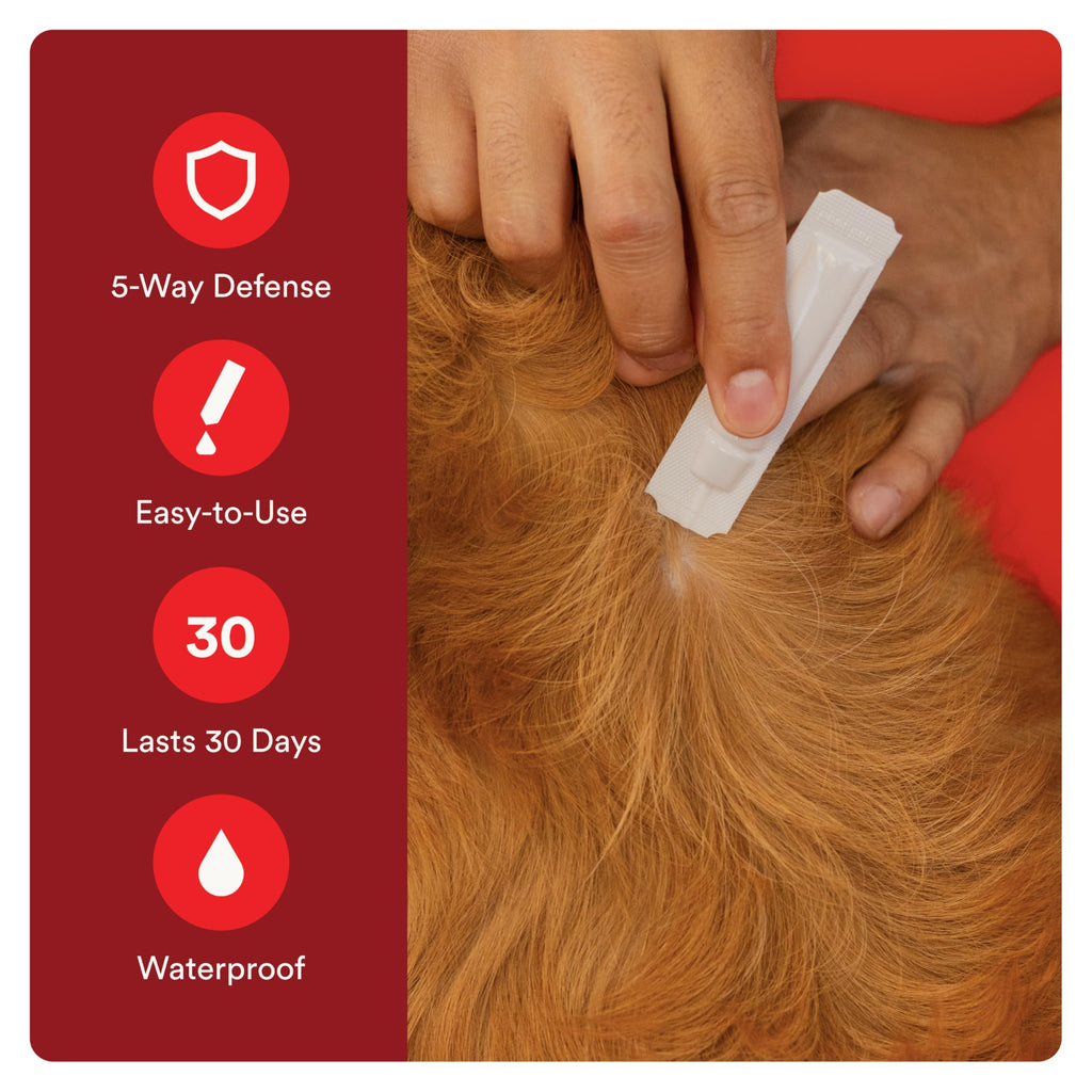 Flea and Tick Prevention for Small Dogs 4-10 lbs (2 Doses) + Flea Treatment for Dogs 2-25 lbs (6 Doses) C606