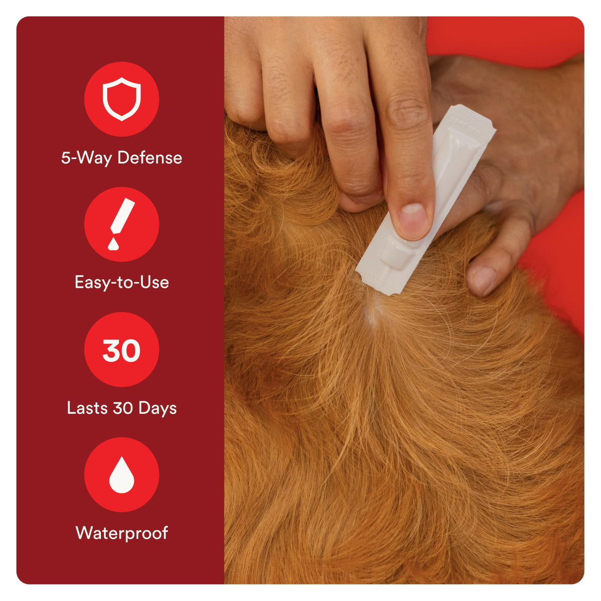 Flea and Tick Prevention for Small Dogs 4-10 lbs (2 Doses) + Flea Treatment for Dogs 2-25 lbs (6 Doses) C606