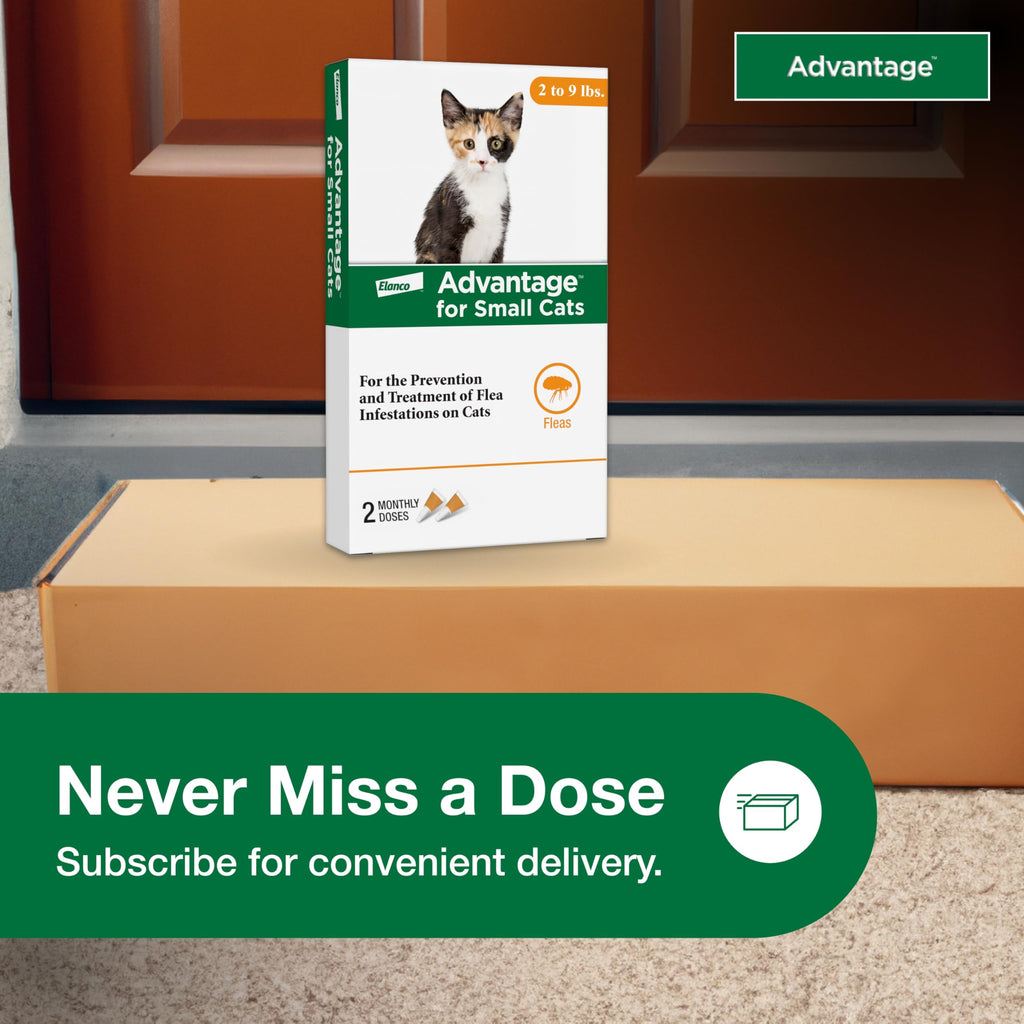 Topical Cat Flea Treatment and Prevention for Small Cats 2-9 lbs K1620