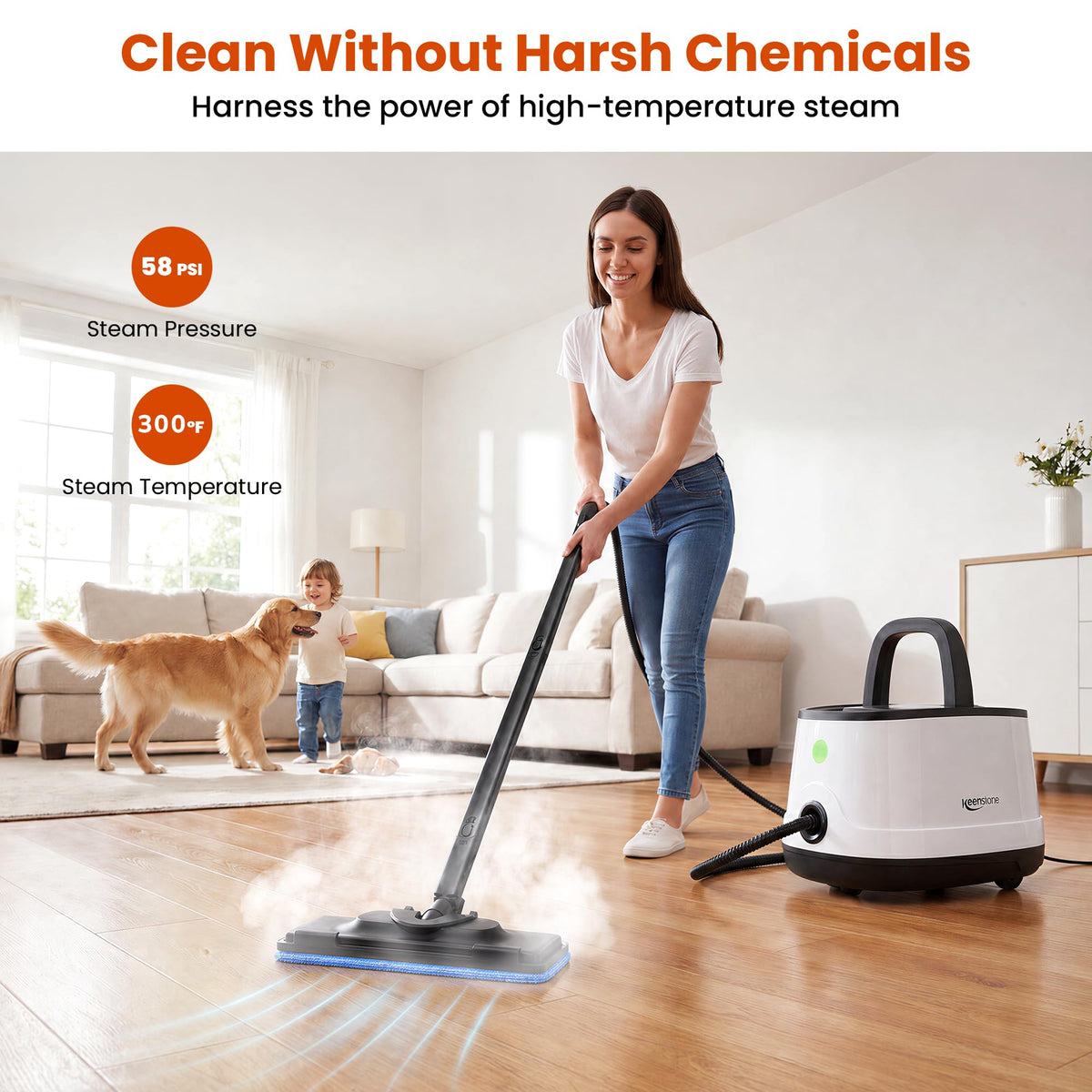Multipurpose Steam Cleaner C601963