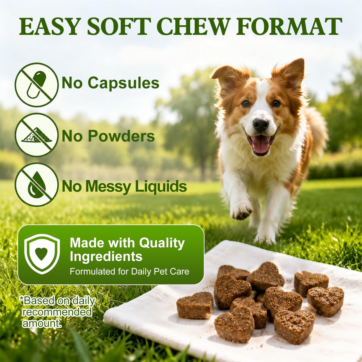 Soft Chews for Dogs F5123
