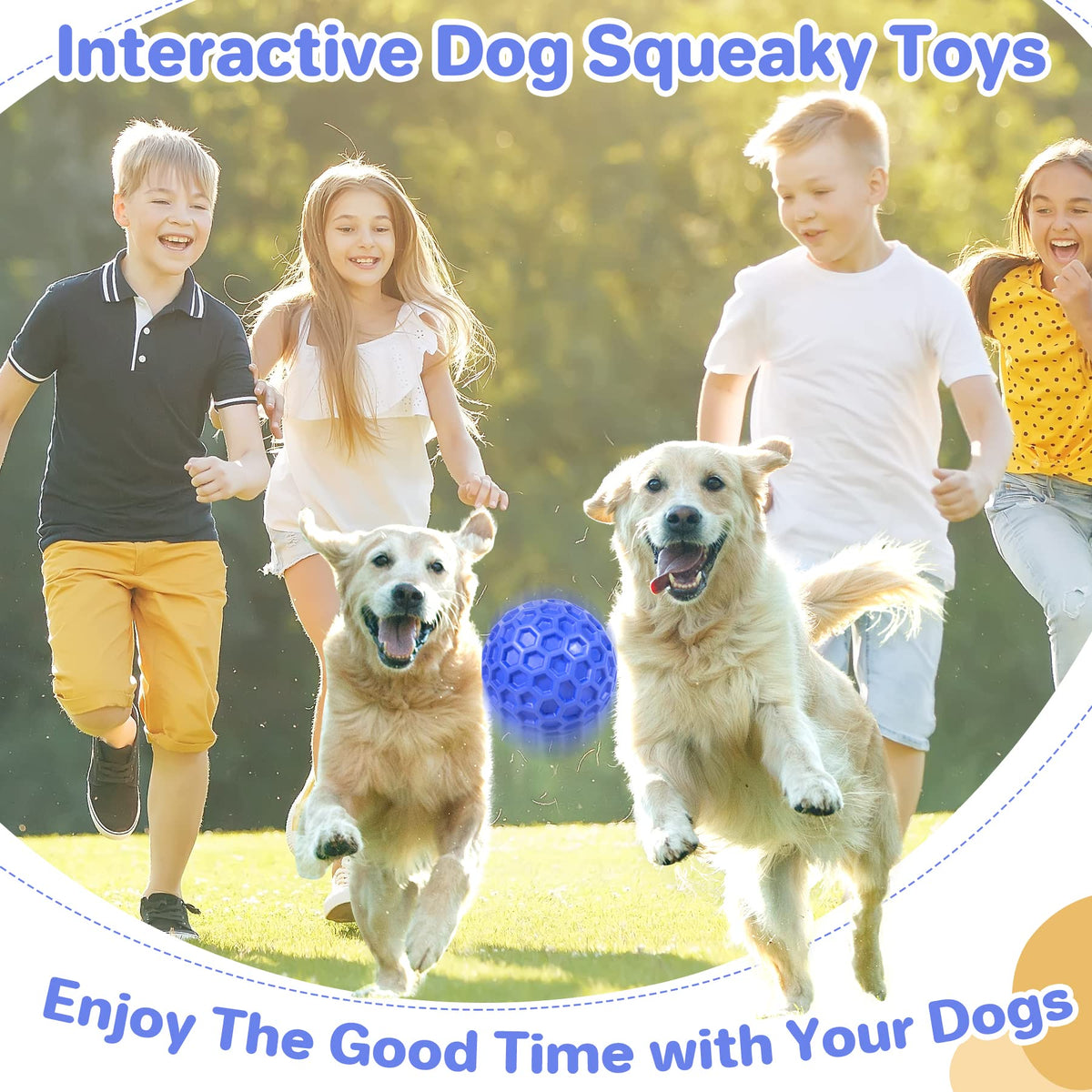 Squeaky Dog Ball Chew Toy C2633