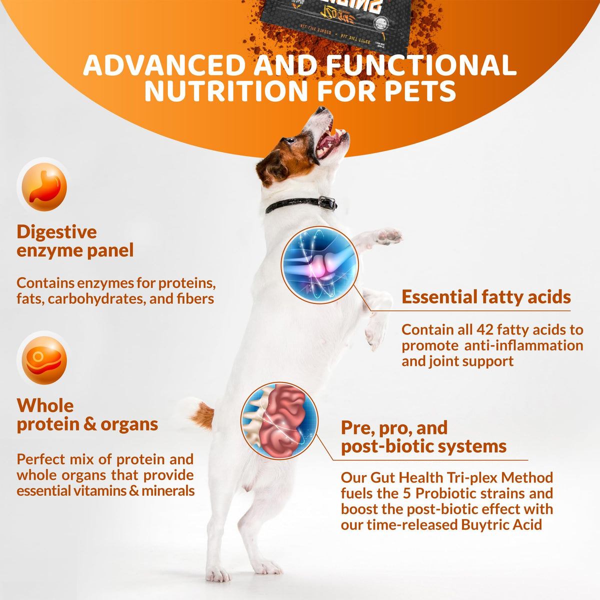 5-in-1 Dog Supplement Powdered Food Topper with Omega 3 Fish Oil 5 lbs U83567