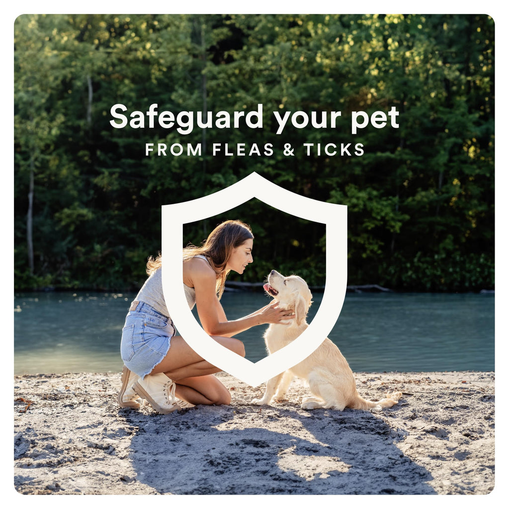 Flea and Tick Prevention for Small Dogs 4-10 lbs (2 Doses) + Flea Treatment for Dogs 2-25 lbs (6 Doses) C606