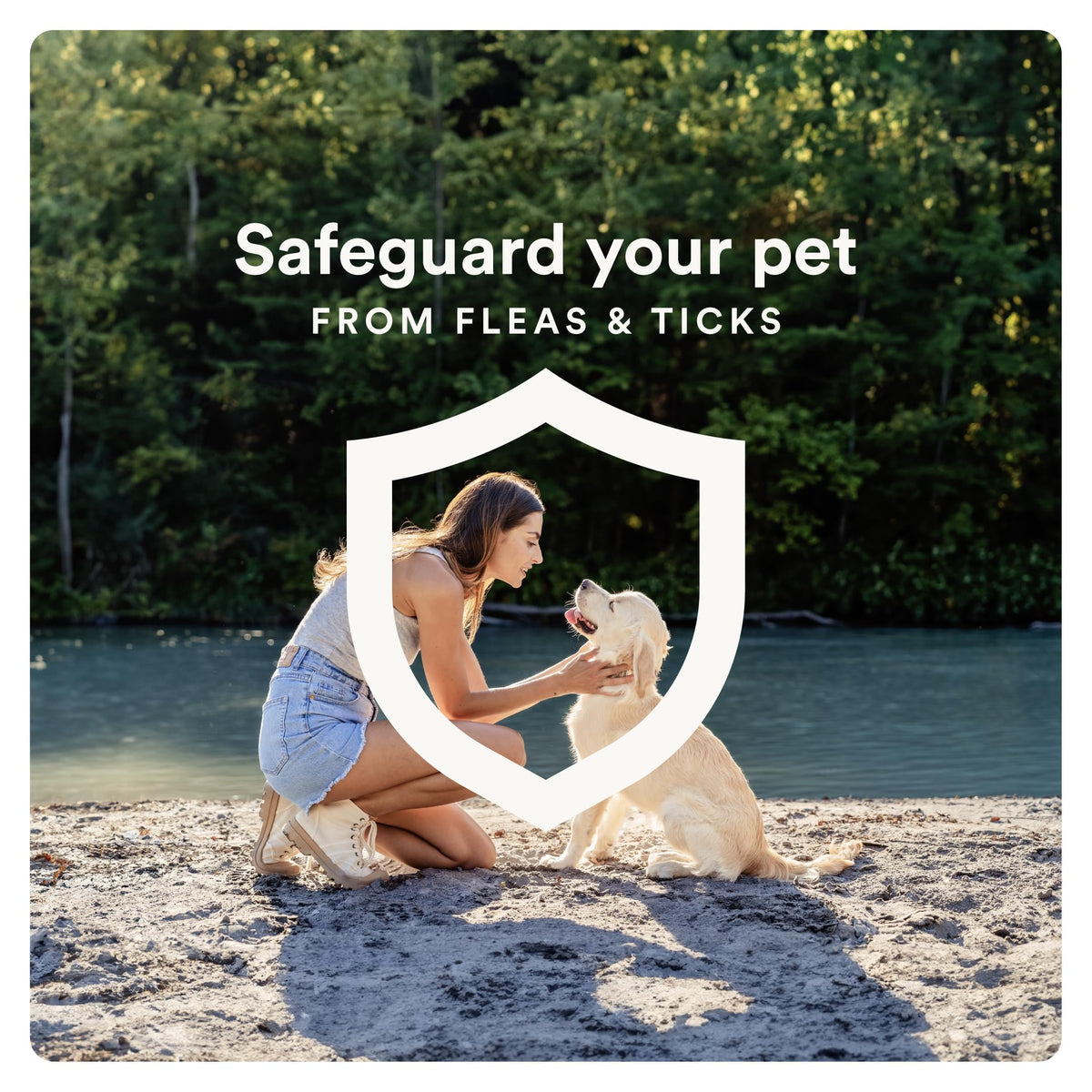 Flea and Tick Prevention for Small Dogs 4-10 lbs (2 Doses) + Flea Treatment for Dogs 2-25 lbs (6 Doses) C606