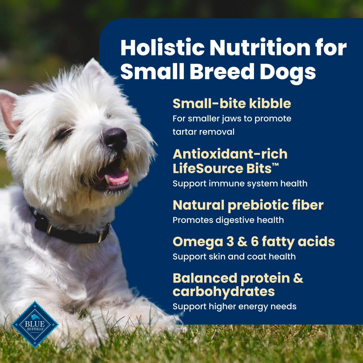 Chicken Small Breed Dry Dog Food, 5 lb A39966