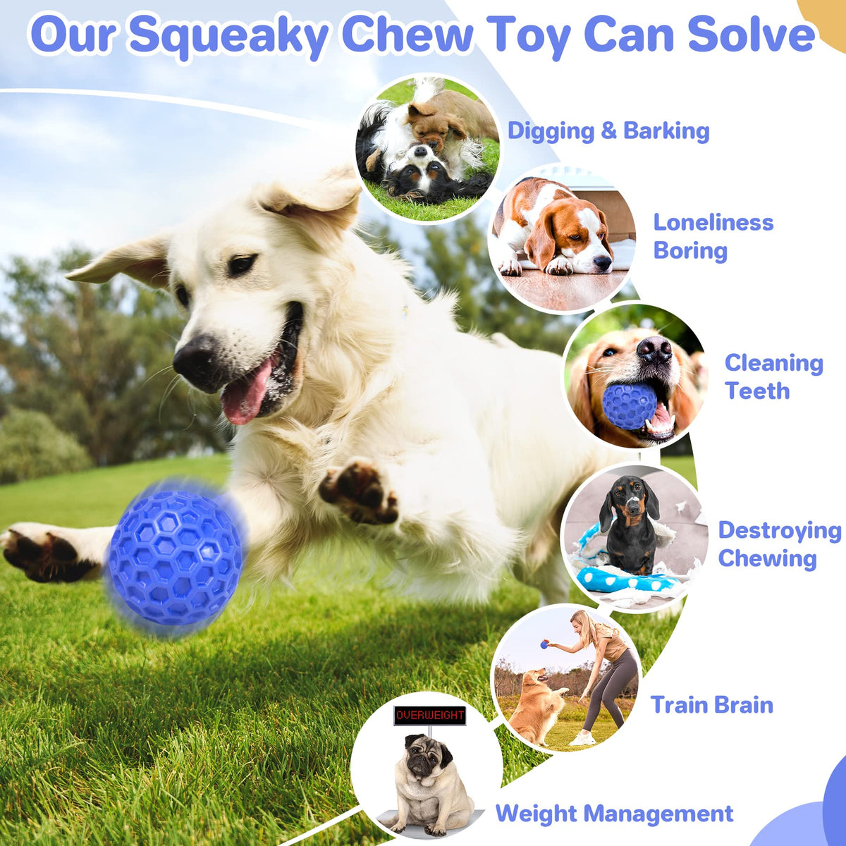 Squeaky Dog Ball Chew Toy C2633