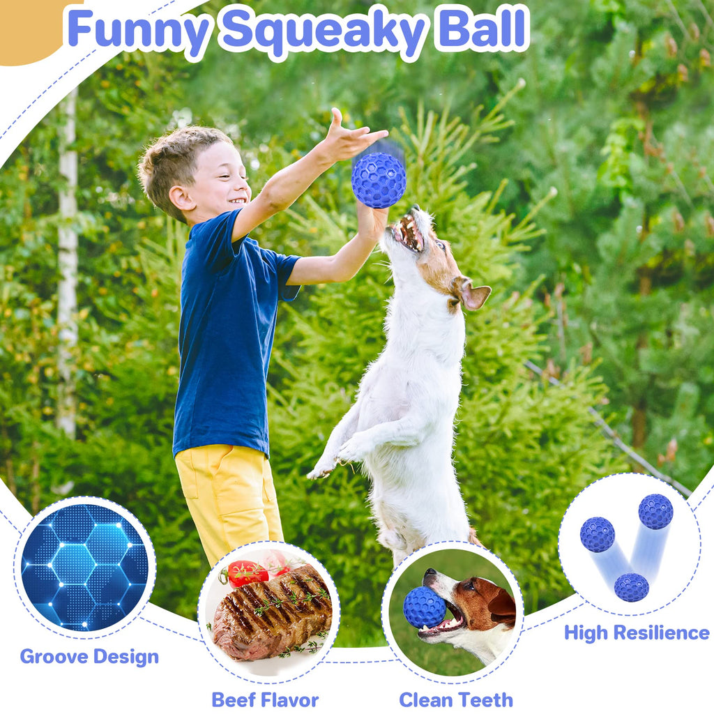 Squeaky Dog Ball Chew Toy C2633