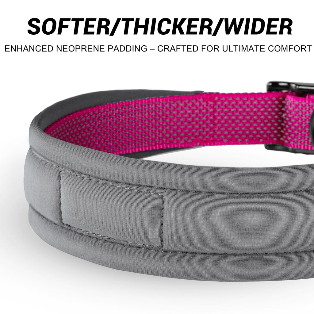Personalized Reflective Dog Collar I3621