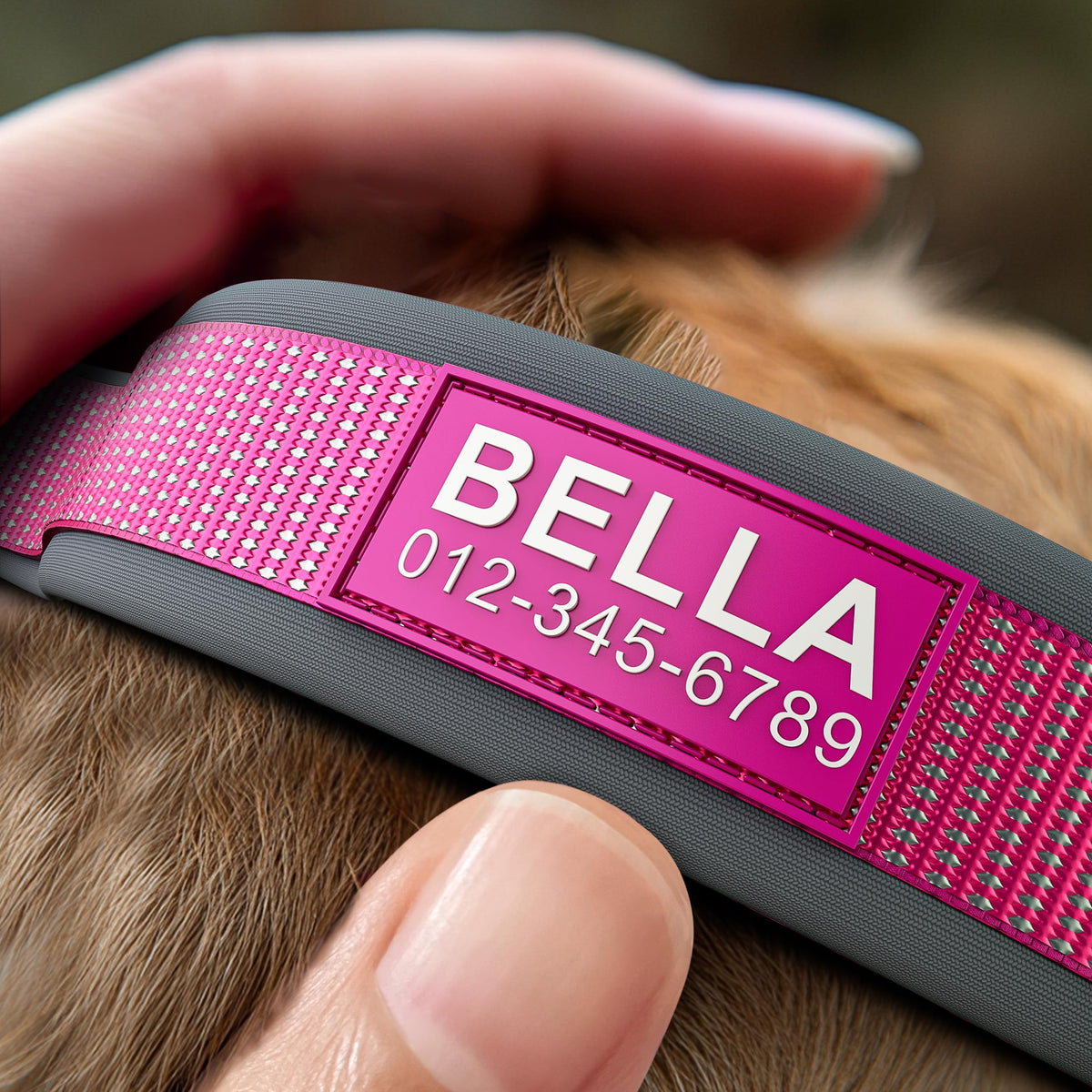 Personalized Reflective Dog Collar I3621