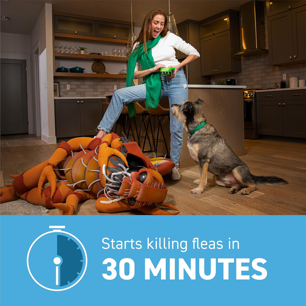 Flea and Tick Prevention for Small Dogs 4-10 lbs (2 Doses) + Flea Treatment for Dogs 2-25 lbs (6 Doses) C606