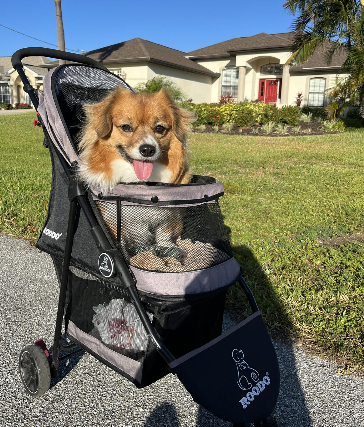 3 Wheel Pet Stroller L4087